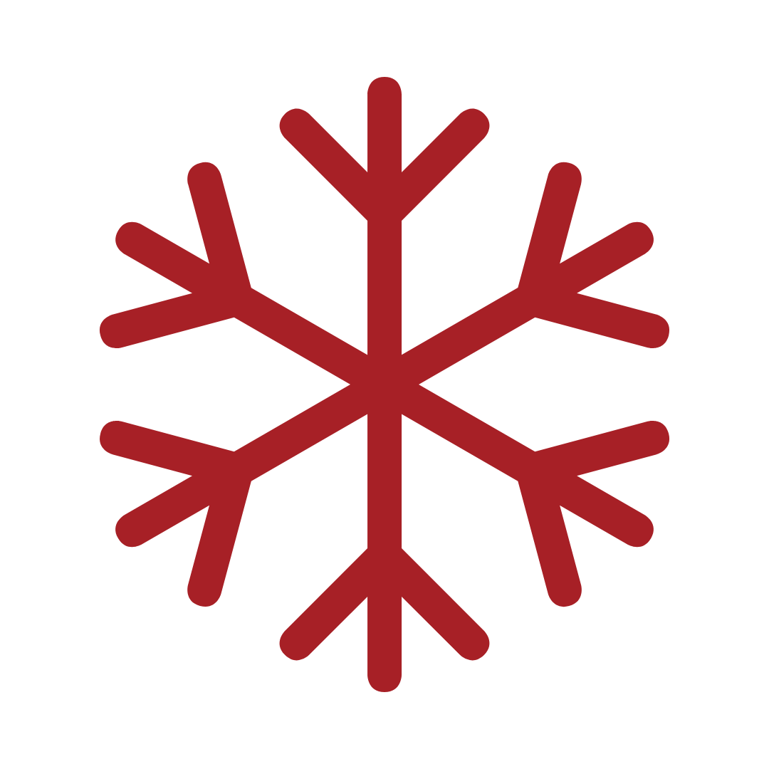 Icon for Snow Removal